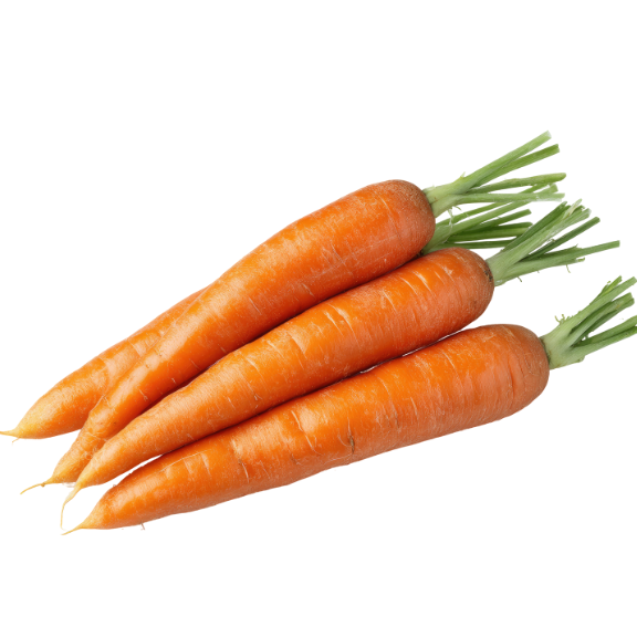 Carrot