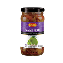 Shan Punjabi Pickle