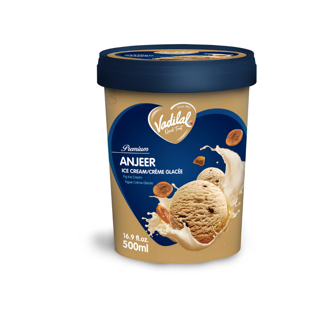 Vadilal Anjeer Ice Cream